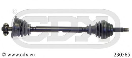 CDX 230565