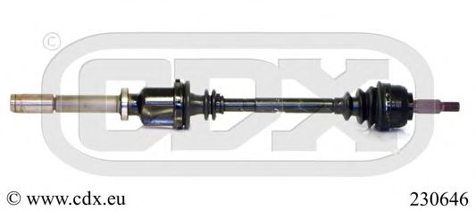 CDX 230646