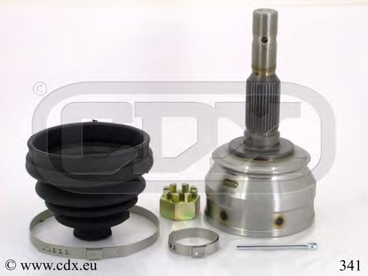 CDX 341