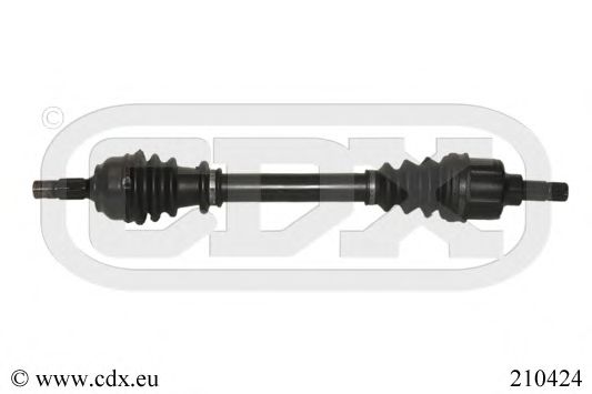 CDX 210424