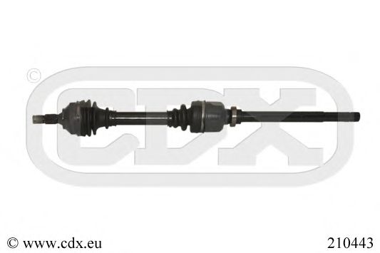 CDX 210443