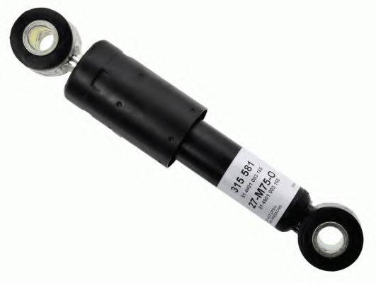 SACHS 315 581