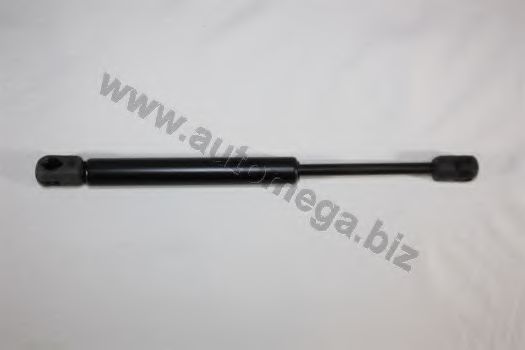 AUTOMEGA 3001760539 AUTOMEGA 3001760539