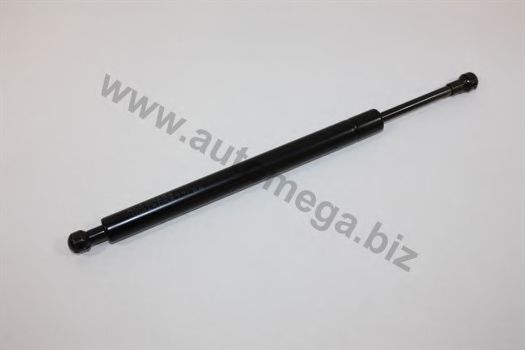 AUTOMEGA 3084505877L6A