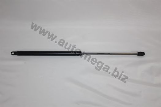 AUTOMEGA 318290331251A