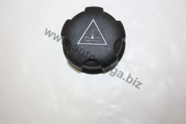 AUTOMEGA 3013060J5