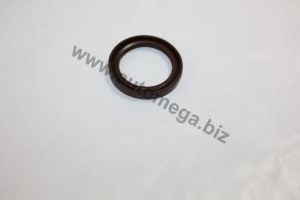 AUTOMEGA 30770104750009