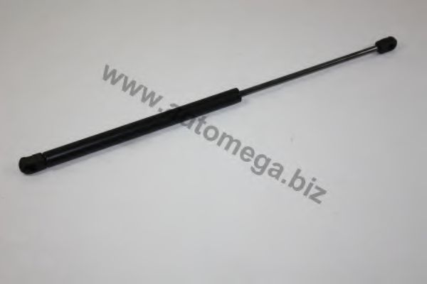 AUTOMEGA 3182705506E0B