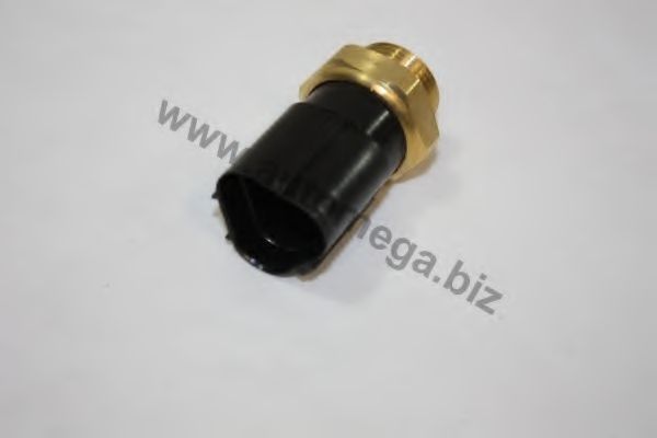 AUTOMEGA 3095904811J0
