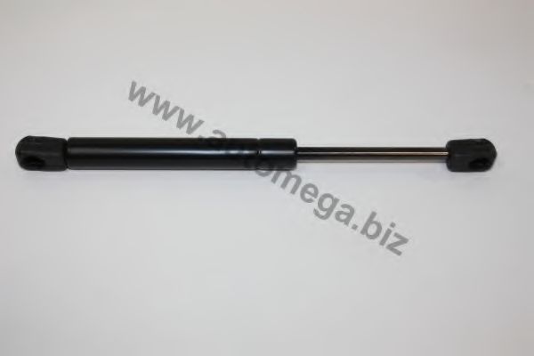 AUTOMEGA 30608440981