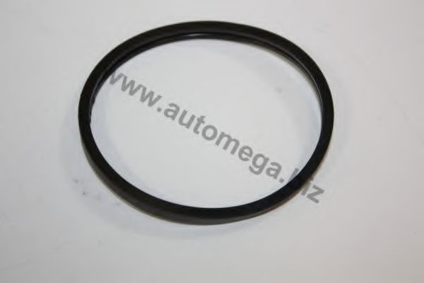 AUTOMEGA 301339066