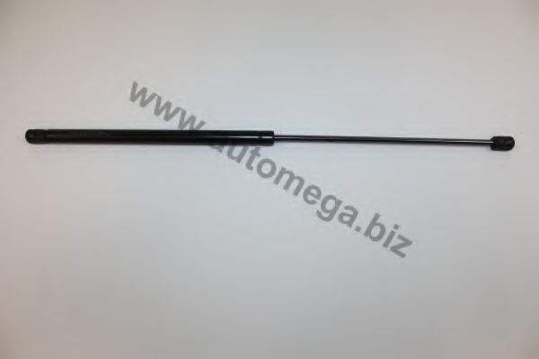 AUTOMEGA 3087310C2