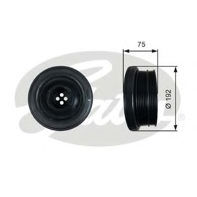 GATES TVD1050