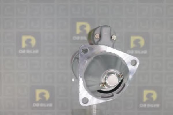 DA SILVA 040110