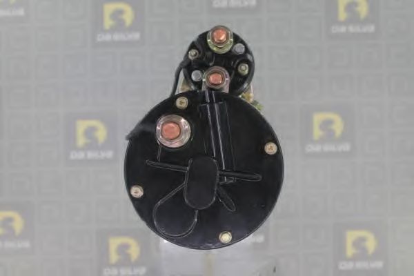 DA SILVA 060975 DA SILVA 060975