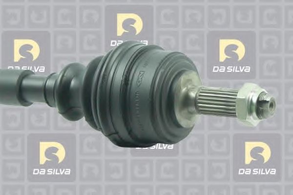 DA SILVA 311204T
