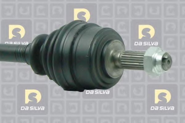 DA SILVA 311205T