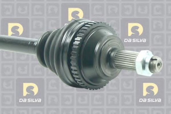 DA SILVA 311237AT
