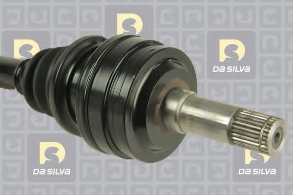 DA SILVA 31216T