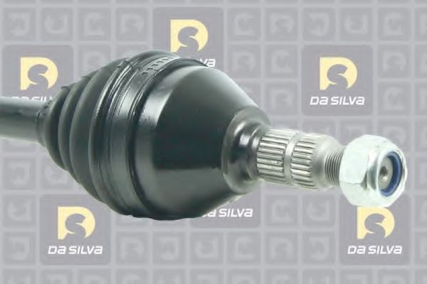 DA SILVA 31421T