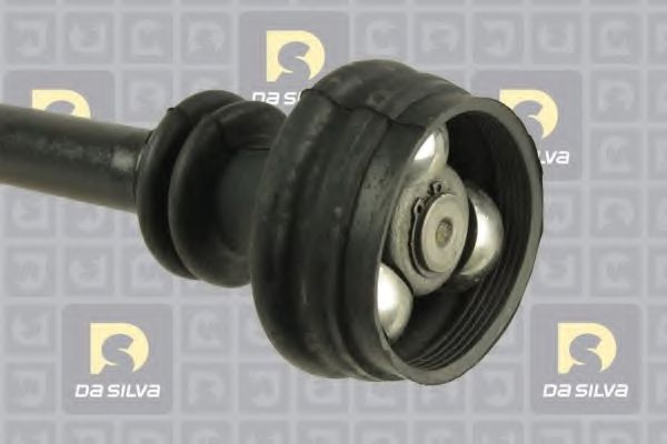 DA SILVA 50010T