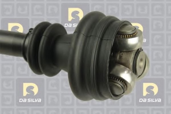 DA SILVA 50017AT