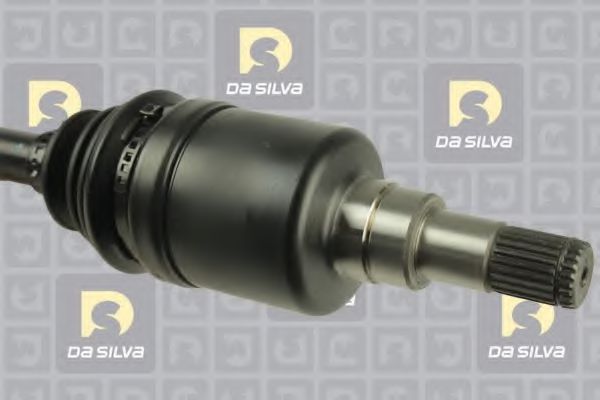 DA SILVA 99501AT