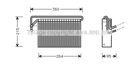 PRASCO BWV024