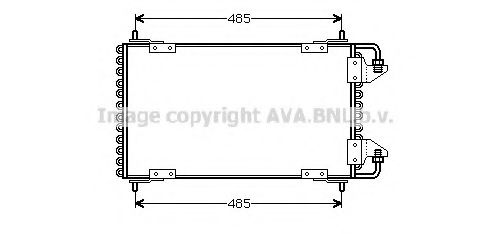 PRASCO CN5091