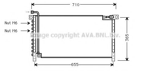 PRASCO DN5161