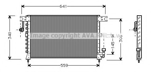 PRASCO HY5038