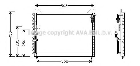 PRASCO MS5215