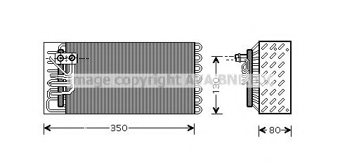 PRASCO PRV039