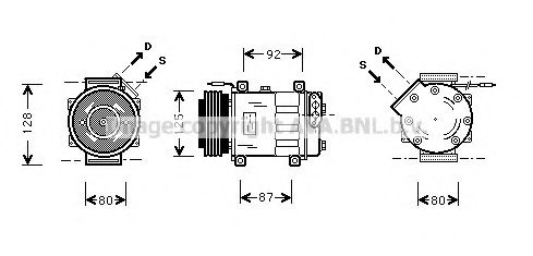 PRASCO RTK046