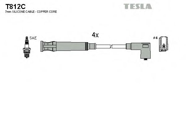 TESLA T812C