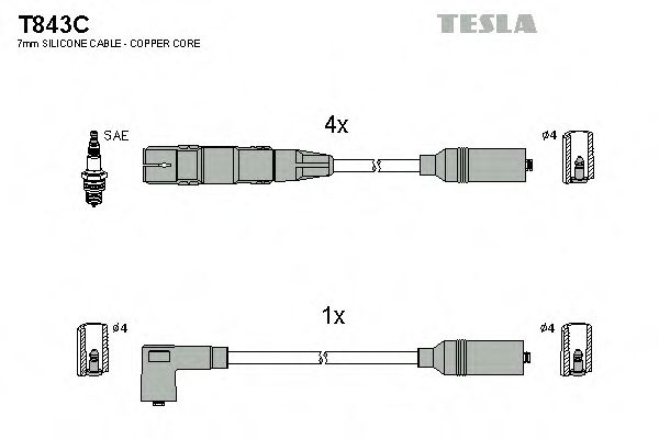 TESLA T843C