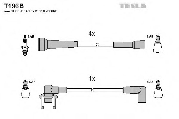 TESLA T196B