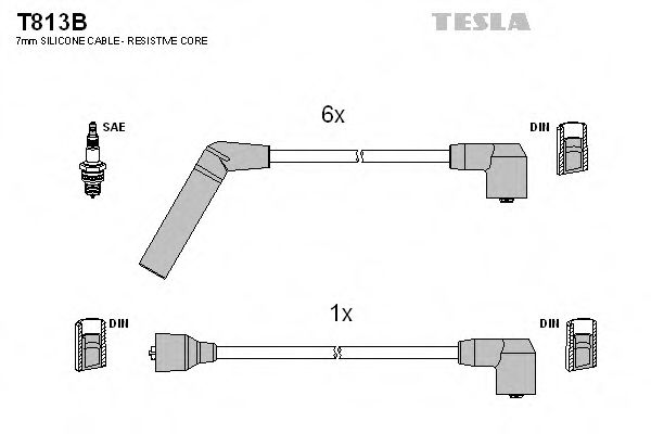 TESLA T813B