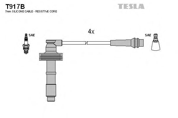 TESLA T917B