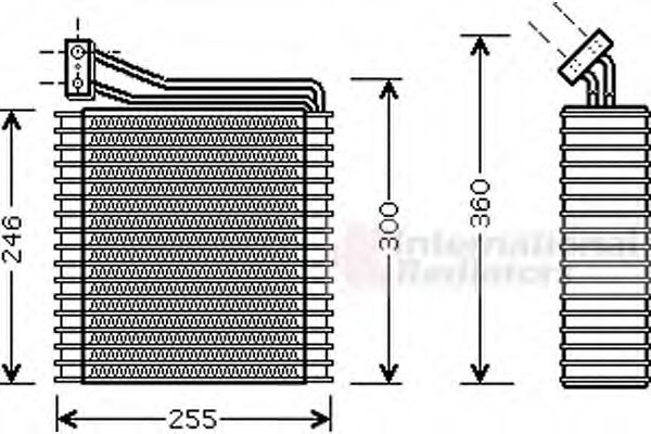 VAN WEZEL 0700V089
