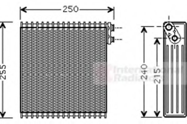 VAN WEZEL 5300V389