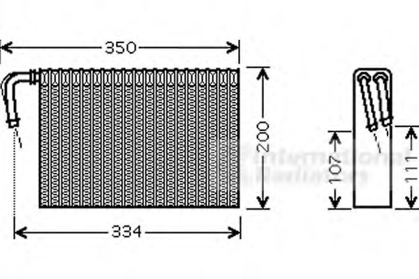 VAN WEZEL 0600V305