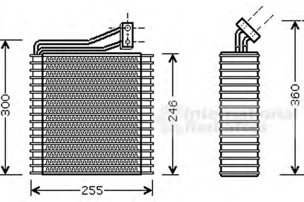 VAN WEZEL 0700V040