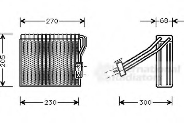 VAN WEZEL 3000V051