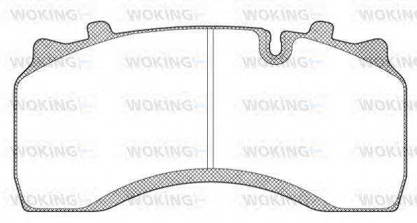 WOKING JSA 11323.10