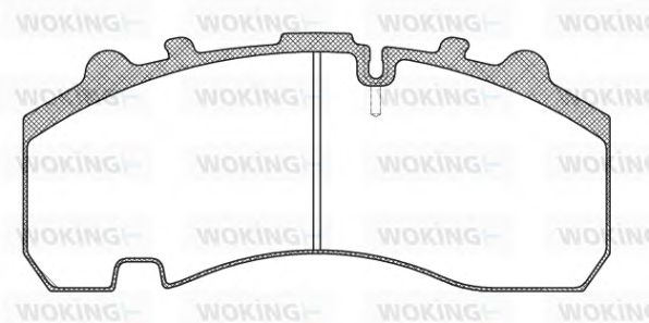 WOKING JSA 11763.10