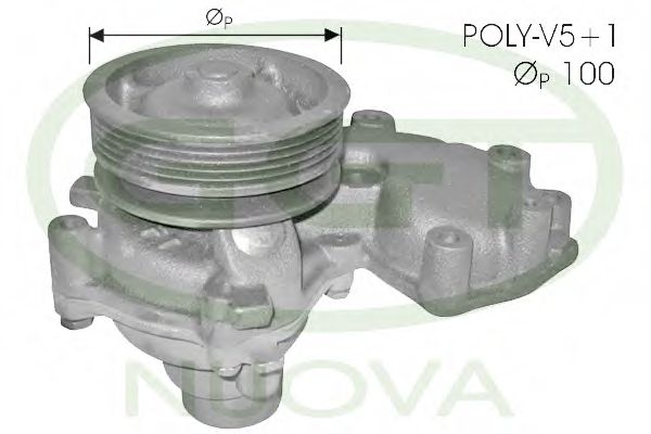 GGT PA10647