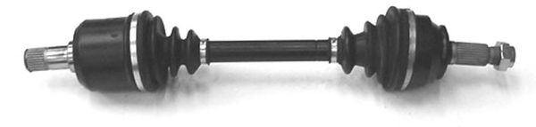 DEPA 3131755