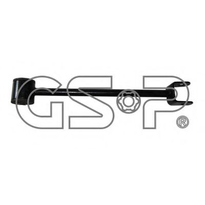 GSP 513313