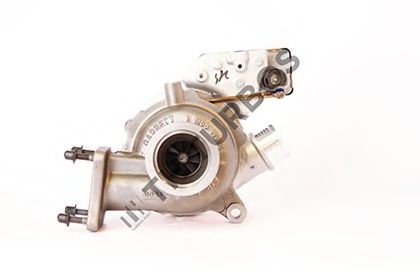 TURBO' S HOET 2100863